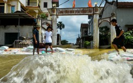 Nước sông Bùi tràn về như thác, xóm Đồng Dâu của Hà Nội bốn bề mênh mông