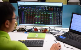 Cổ phiếu Việt Nam hút dòng tiền ngoại trước ngày FTSE nâng hạng