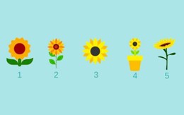 Quiz: Những bí mật sâu kín nhất của tâm hồn bạn