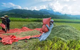 Cái kết buồn... cười của câu chuyện về quê nuôi cá, trồng rau
