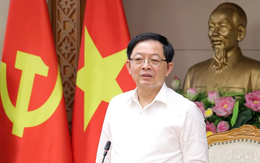 Phó thủ tướng yêu cầu nghiên cứu thuế chống đầu cơ, xử lý đất bỏ hoang