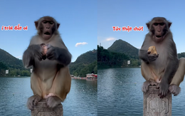 'Tề Thiên' nổi cáu với thanh niên đùa nhây