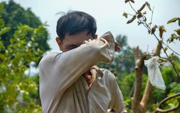 Sông Pheo chậm thoát nước ra sông Nhuệ, dân làng hoa Tây Tựu chua xót nhìn hoa chết