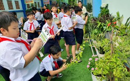 Có bao nhiêu khoản thu ngoài học phí ở trường công TP.HCM?