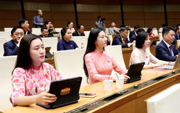 2 nhóm giảng viên luật được miễn đào tạo nghề để trở thành luật sư công
