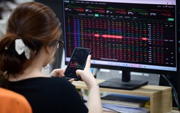 Chứng khoán vẫn lao đao, một mã họ Viettel ngược dòng tăng trần