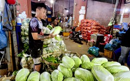 Vùng sản xuất bị ngập, sản lượng rau giảm mạnh, nhưng giá còn 'chấp nhận được'