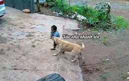Chú chó thông minh biết giữ trẻ