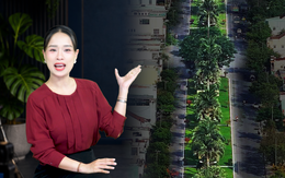 Dải phân cách 13m ở Tam Kỳ phát huy giá trị sau gần 30 năm