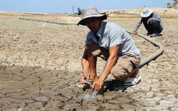 Dự báo mưa giảm 20-40% do El Nino, không chờ đến mùa khô mới chống hạn