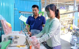 Gạo huyết rồng của nông dân ở Đồng Tháp tiêu thụ ổn định nhờ lối đi riêng