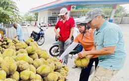 Giá cả đầu ngày: Sầu riêng hạ giá, gạo huyết rồng ổn định, hàng nhãn riêng giảm đến 42%