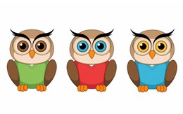 Quiz: Bạn sáng tạo, đổi mới hay là người học hỏi, nhanh nhẹn?