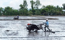 El Nino trở lại