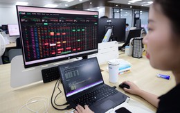 Cổ phiếu Kosy mất hơn 30% sau 5 phiên giảm sàn liên tiếp