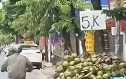 Một nửa sự thật chưa chắc là sự thật
