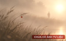 Thông tin liệt sĩ Nguyễn Văn Quân - Hải Hậu, Hà Nam Ninh, nay là tỉnh Ninh Bình