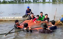 Trữ cá đồng, đón khách du lịch giữa mùa nước nổi ở miền Tây