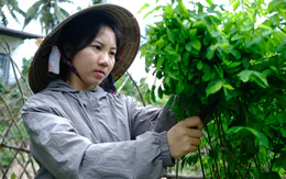 Tiếp sức đến trường 2026