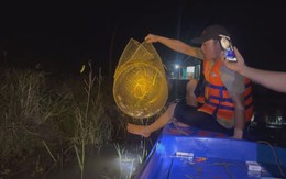 Góc nhìn trưa nay: Du khách thích thú trải nghiệm đêm trên sông nước 