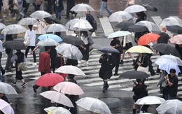 El Nino trở lại