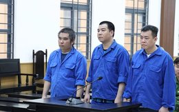 Cướp hơn 54 tấn cá tra nguyên liệu để cấn trừ nợ, nhóm bị cáo lãnh án tù