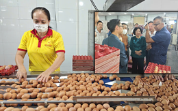 Công ty Ba Huân nợ hơn 600 tỉ đồng, bị xiết nợ hàng chục 'dãy chuồng gà'