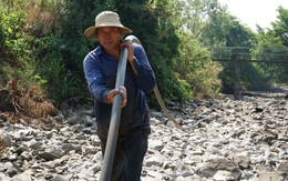 El Nino trở lại