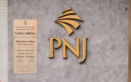 PNJ muốn chào bán riêng lẻ tối đa 550 triệu cổ phiếu