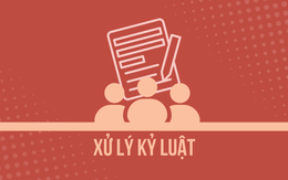 Quảng Trị xóa tư cách chức vụ chủ tịch 3 huyện bị khởi tố trong vụ án cây xanh Công Minh