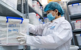 Tăng trợ cấp người có công, thêm chính sách với giám định ADN liệt sĩ