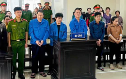3 cựu viên chức thú y ở Cần Thơ lãnh án vì cho heo bệnh, chết vào giết mổ