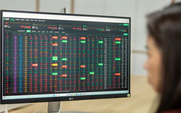 Công ty may hơn 30 năm tuổi huy động trăm tỉ qua cổ phiếu, rẽ ngang sang mảng làm đẹp