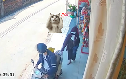 Anh gì ơi, anh đánh rơi... vợ này