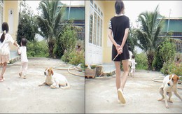 Chú chó cảnh giác tột độ khi thấy cô chủ cầm roi