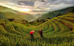 Bị phốt thu phụ phí xe ôm, homestay tại Mù Cang Chải lên tiếng