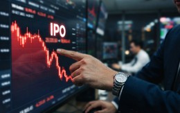 Phân tích chứng khoán: Vì sao giá nhiều cổ phiếu giảm mạnh sau IPO?