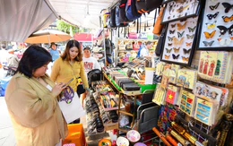 Giải thể doanh nghiệp: Nhiều việc cần làm bên cạnh  'chiến dịch' của ngành thuế