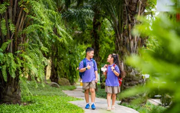 Khi đường đến trường trở thành một phần của tuổi thơ xanh