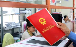 Sửa Luật Đất đai: Xem xét cấp sổ đỏ cho đất vi phạm thủ tục trước 1-8-2024