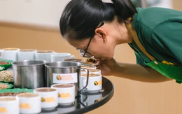 Vì sao Robusta gắn với cà phê hòa tan?