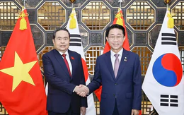 Thúc đẩy doanh nghiệp Hàn Quốc đầu tư bán dẫn, trung tâm dữ liệu AI tại Việt Nam