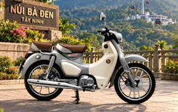 Honda Super Cub 2026 ra mắt Việt Nam, giá tăng nhẹ so với bản trước