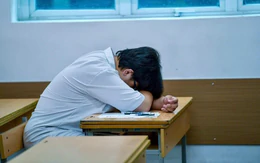 Từ phản ứng stress trầm trọng đến hành vi bạo lực, nguyên nhân do đâu?
