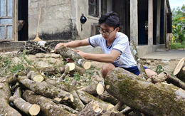 Tân sinh viên ĐH Huế: Luôn nhớ ngày mẹ nằm xuống trước cổng trường nên tôi không bỏ học