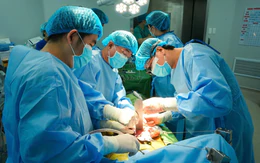 Thêm bệnh viện phía Nam ghép gan thành công