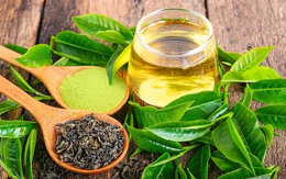 Bên cạnh nước lọc, đây là những loại đồ uống có lợi cho sức khỏe của gan