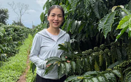 Khởi nghiệp nơi miền đất đỏ, sáng tạo cao Cascara từ vòng tuần hoàn của quả cà phê