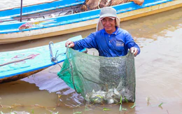 Thời tiết hôm nay 10-9: Lũ về sông Cửu Long; cả nước mưa dông