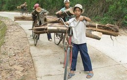 Bất an hồ Phú Ninh
